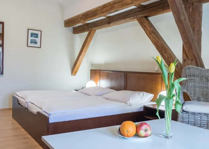 酒店 Celerin 泰尔奇