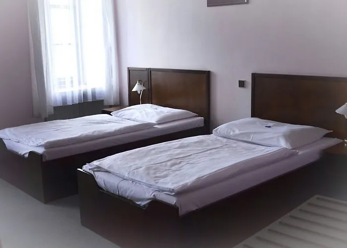 Celerin 酒店 泰尔奇