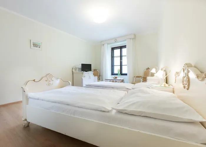 Celerin 3* 泰尔奇